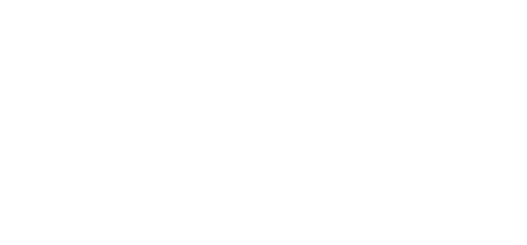 bridging bionics